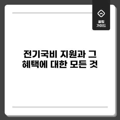 전기국비 지원과 그 혜택에 대한 모든 것