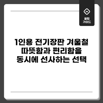 1인용 전기장판: 겨울철 따뜻함과 편리함을 동시에 선사하는 선택