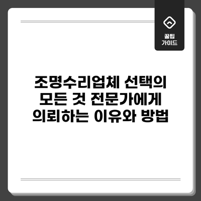 조명수리업체 선택의 모든 것: 전문가에게 의뢰하는 이유와 방법