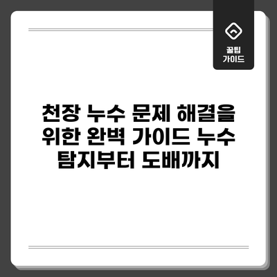 천장 누수 문제 해결을 위한 완벽 가이드: 누수 탐지부터 도배까지