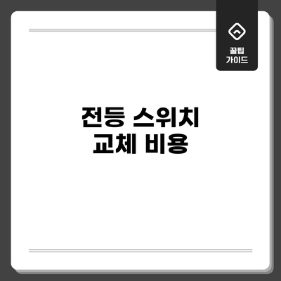전등 스위치 교체 비용