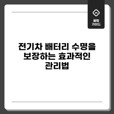 전기차 배터리 수명을 보장하는 효과적인 관리법