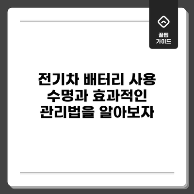전기차 배터리 사용 수명과 효과적인 관리법을 알아보자